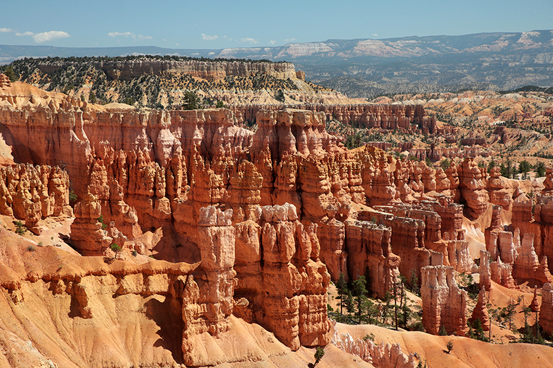 Bryce Canyon : Utah : Landscape Photos : Richard Moore : Photographer